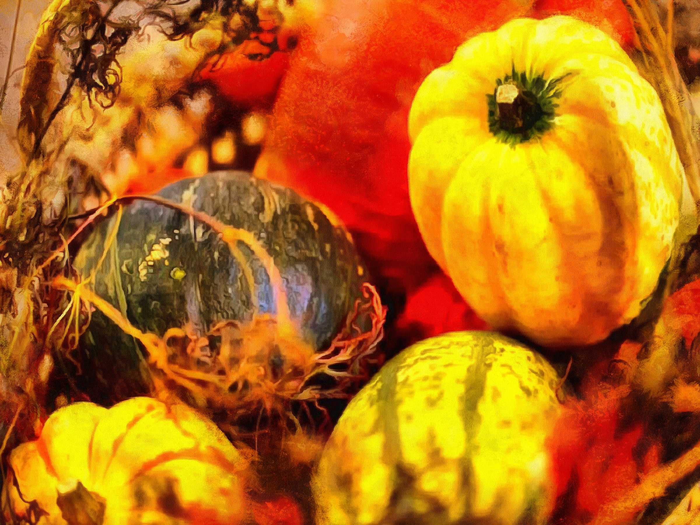 pumpkin, thanksgiving, vegetables, harvest, holiday, - thanksgiving, stock free image, public domain photos, free stock photo, download public domain images.