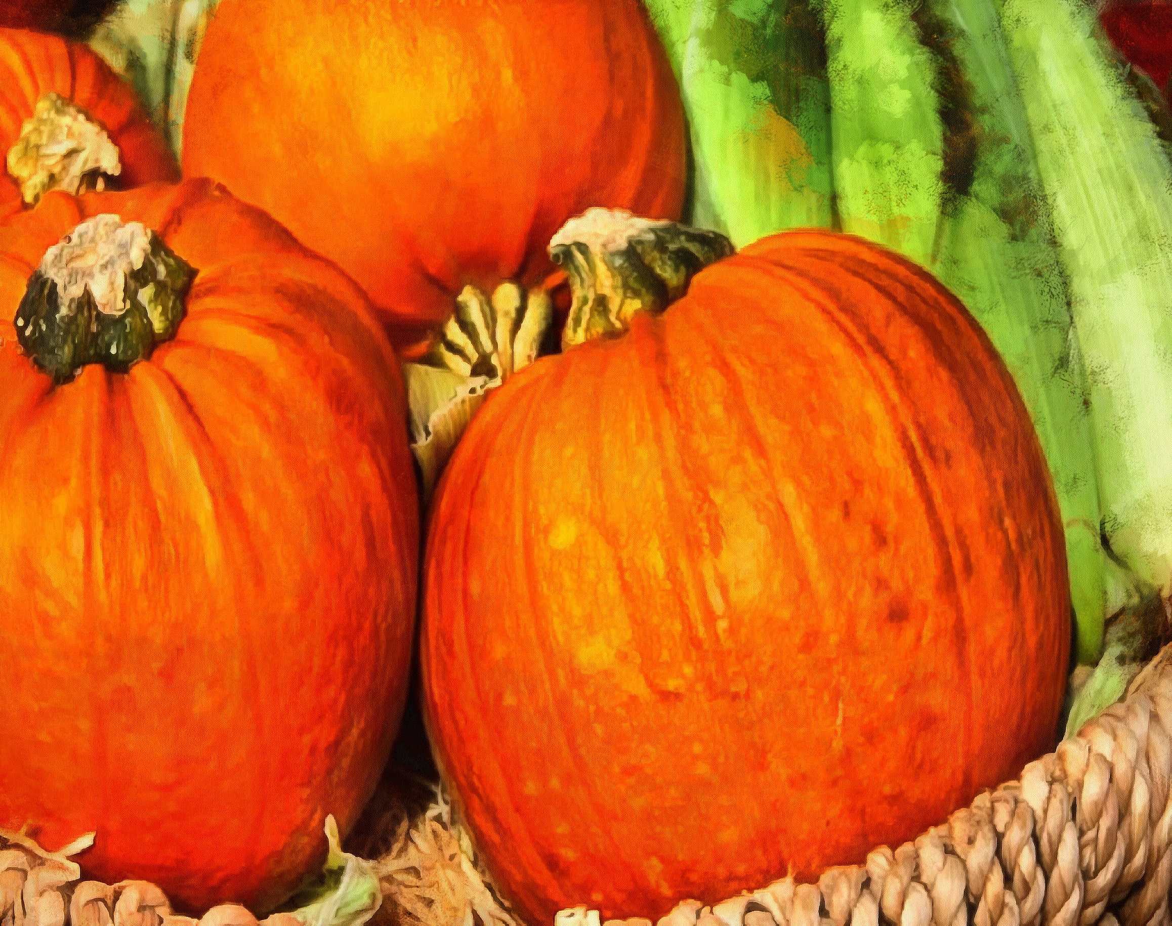 pumpkin, thanksgiving, vegetables, harvest, holiday, - thanksgiving, stock free image, public domain photos, free stock photo, download public domain images.