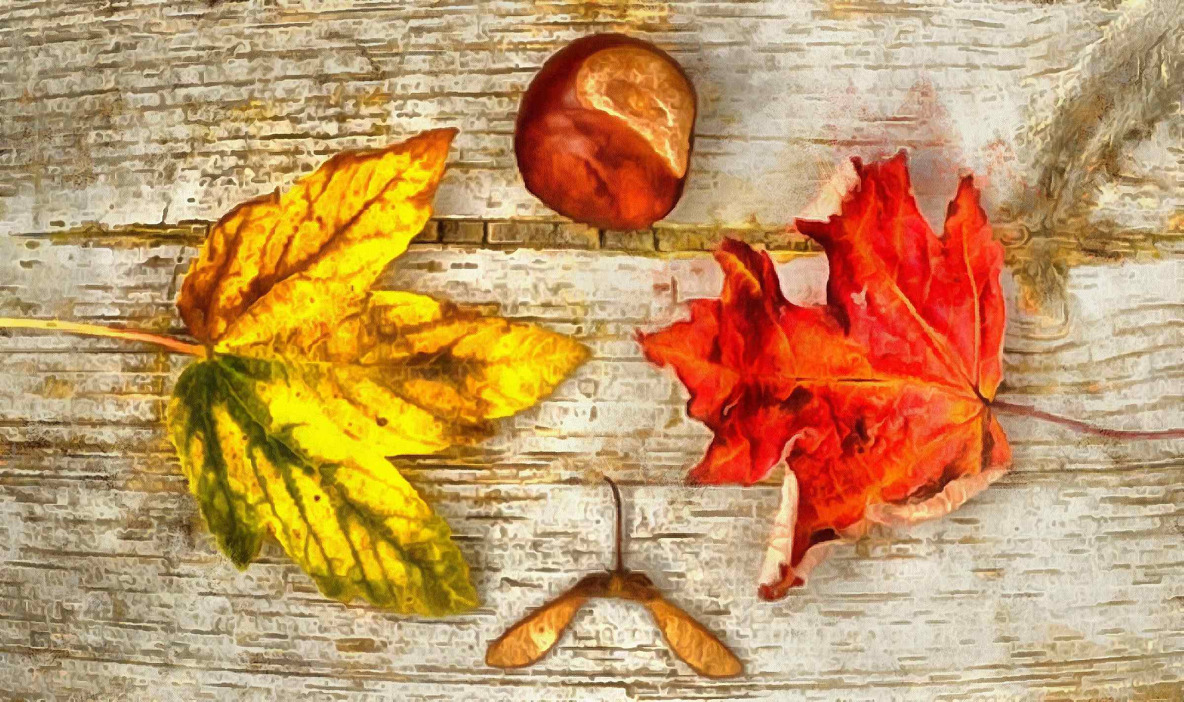 <br>leaves, autumn, brown, wooden flooring,