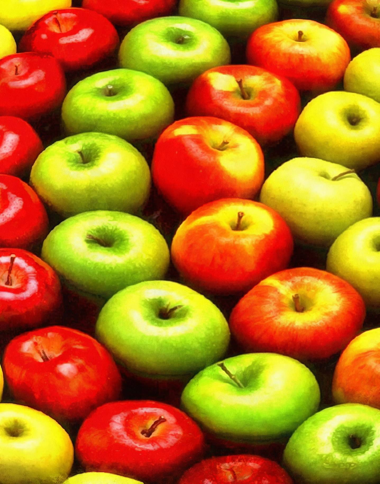 apples, holiday, fruit, wealth, summer, - thanksgiving, public domain images, stock free photos, free images, public domain photos, stock free images.