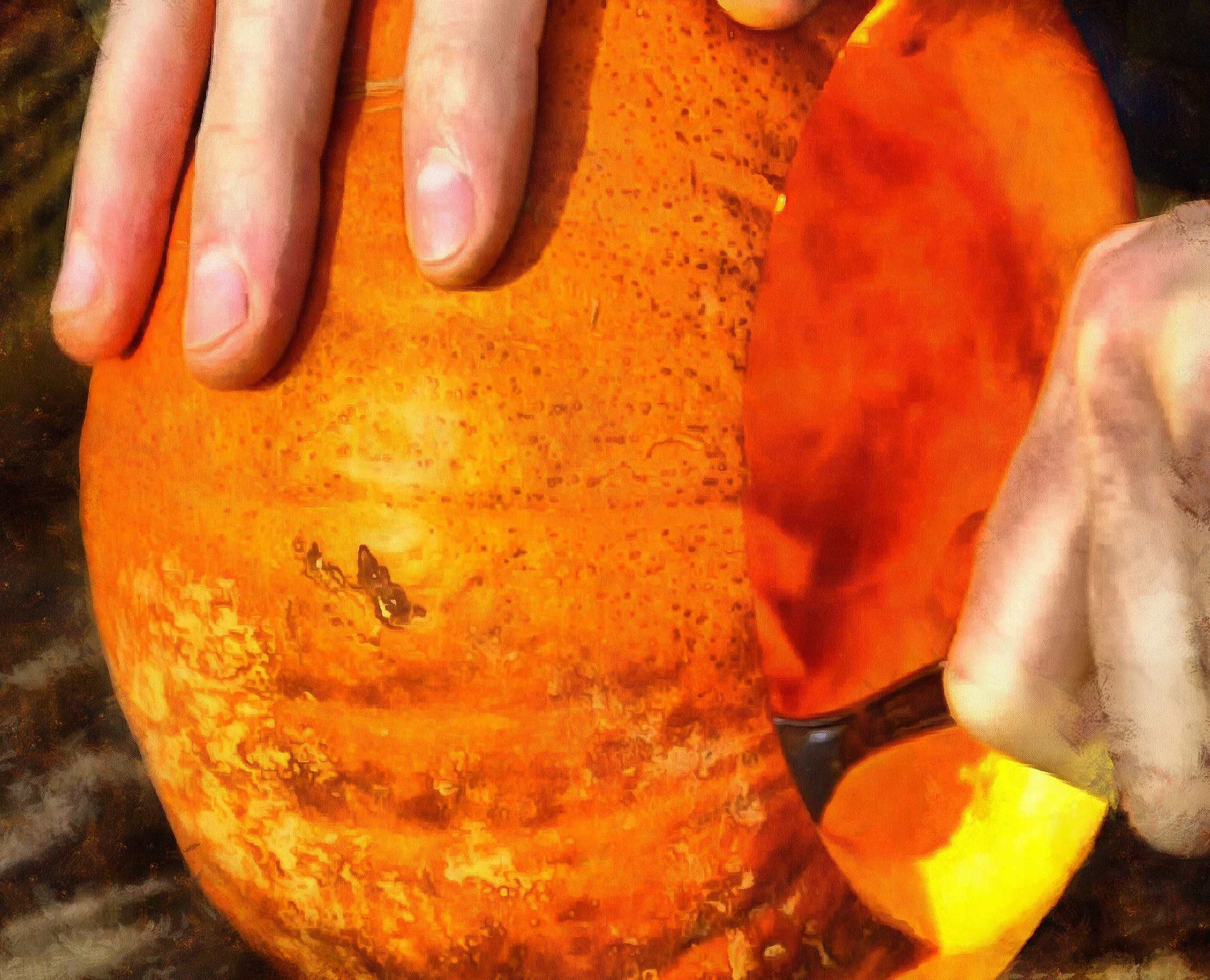 pumpkin, thanksgiving, vegetables, harvest, holiday, - thanksgiving, stock free image, public domain photos, free stock photo, download public domain images.