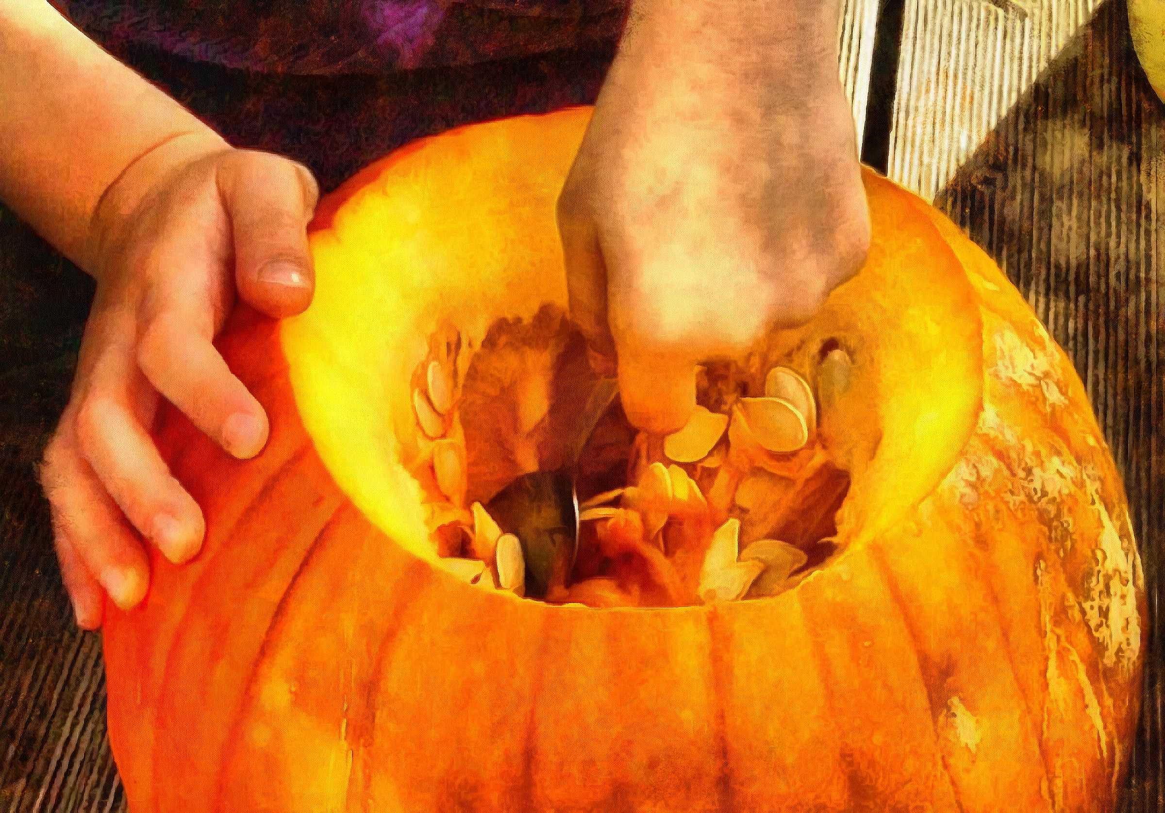 pumpkin, thanksgiving, vegetables, harvest, holiday, - thanksgiving, stock free image, public domain photos, free stock photo, download public domain images.