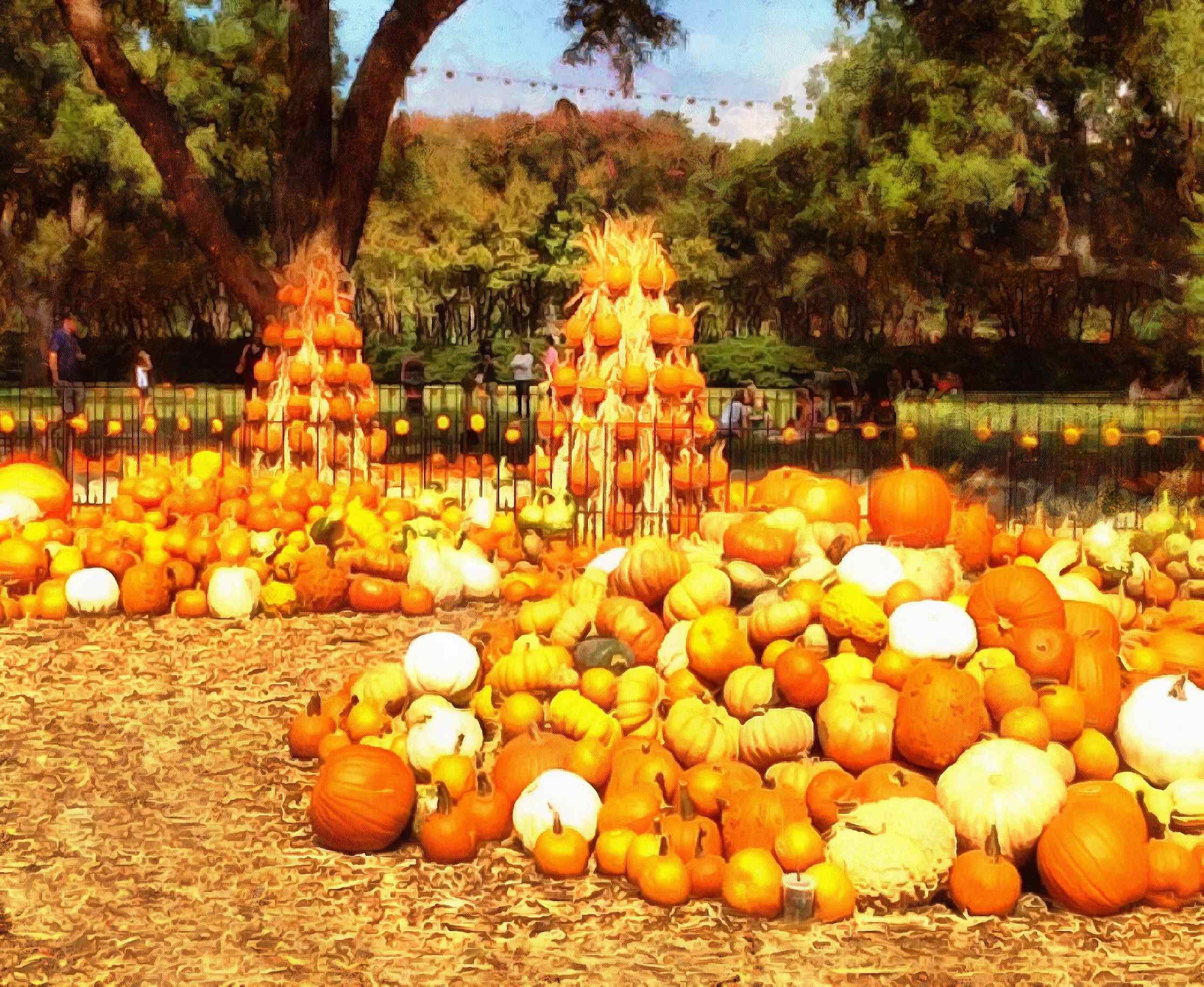 <br> pumpkin, harvest, holiday, vegetable, - thanksgiving, public domain images, stock free photos, free images, public domain photos, stock free images. 