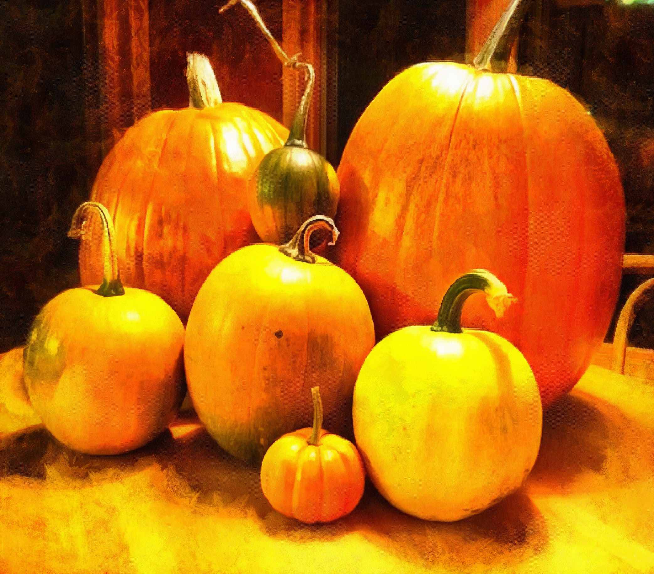 vegetables, harvest, pumpkin, thanksgiving, holiday, - thanksgiving, stock free image, public domain photos, free stock photo, download public domain images.