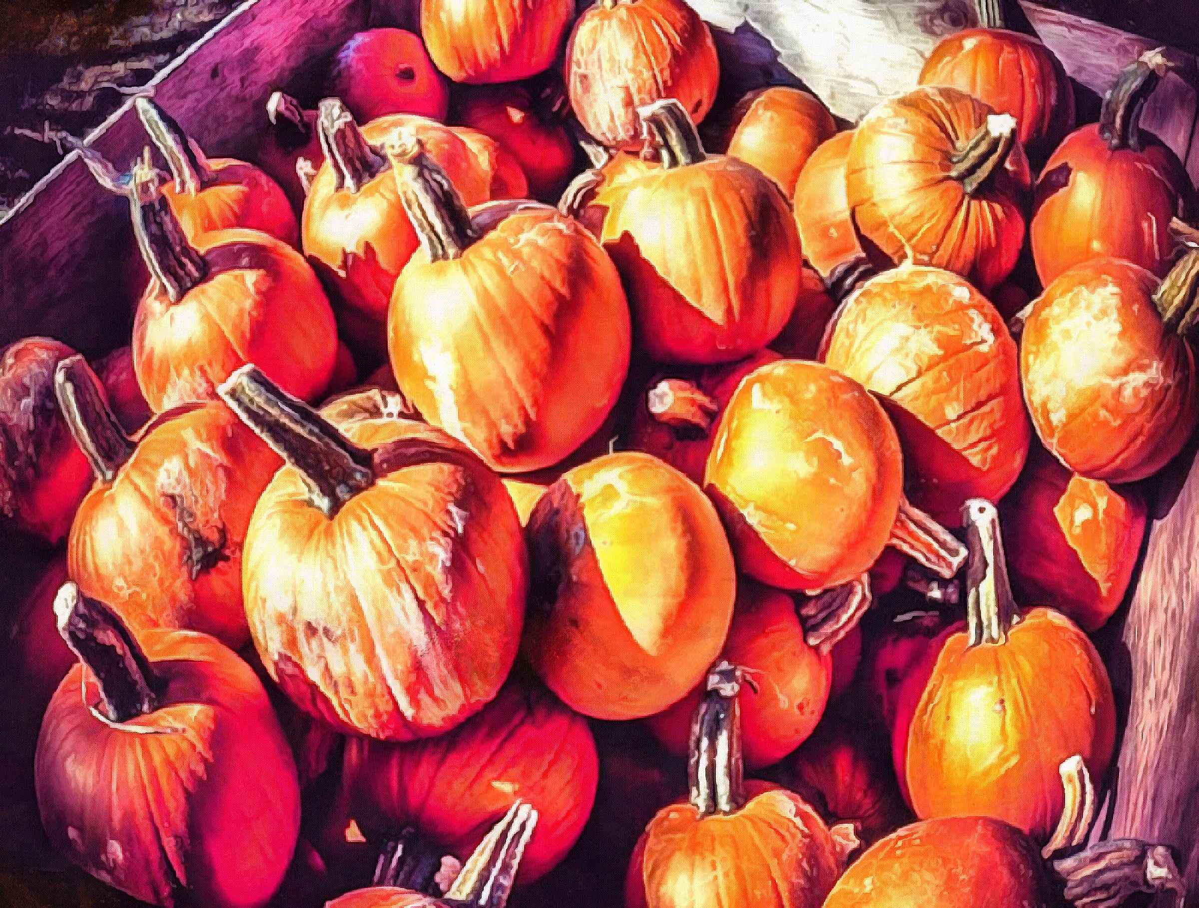 vegetables, harvest, pumpkin, thanksgiving, holiday, - thanksgiving, stock free image, public domain photos, free stock photo, download public domain images.