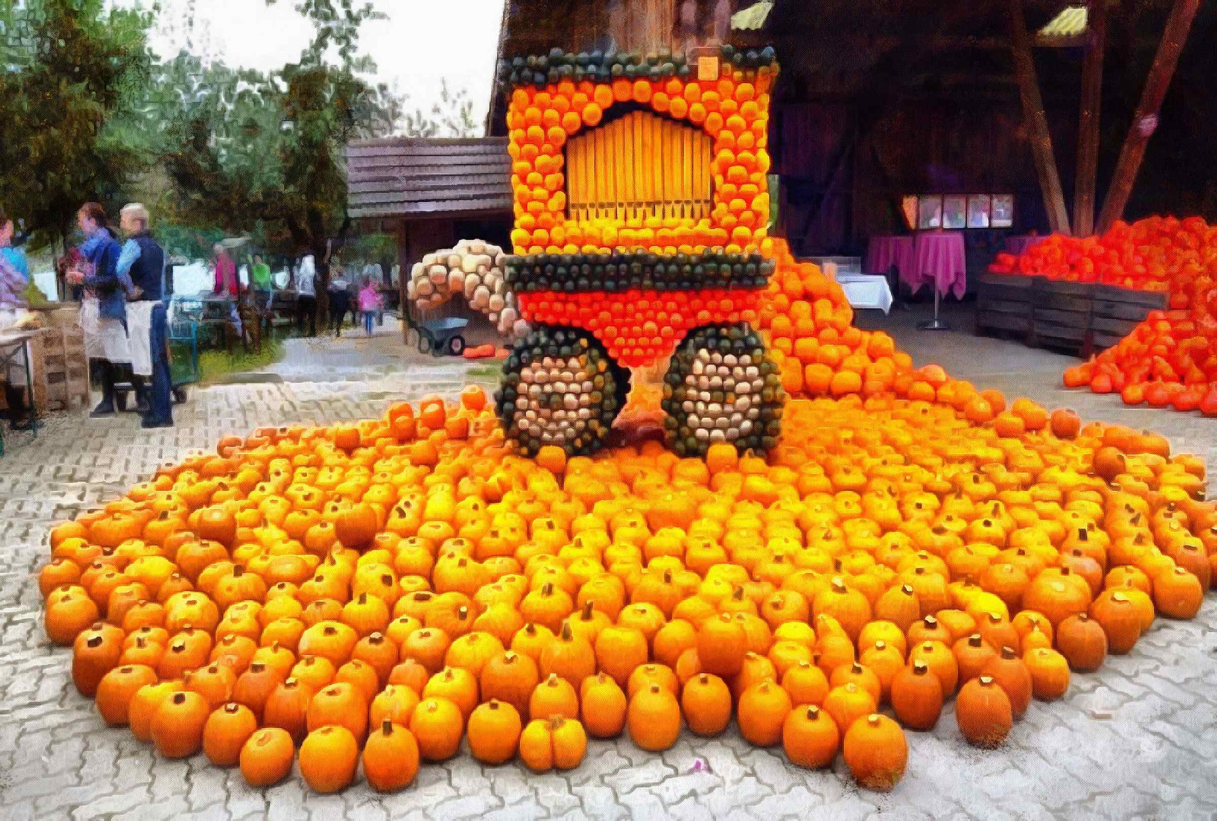 vegetables, harvest, pumpkin, thanksgiving, holiday, - thanksgiving, stock free image, public domain photos, free stock photo, download public domain images.