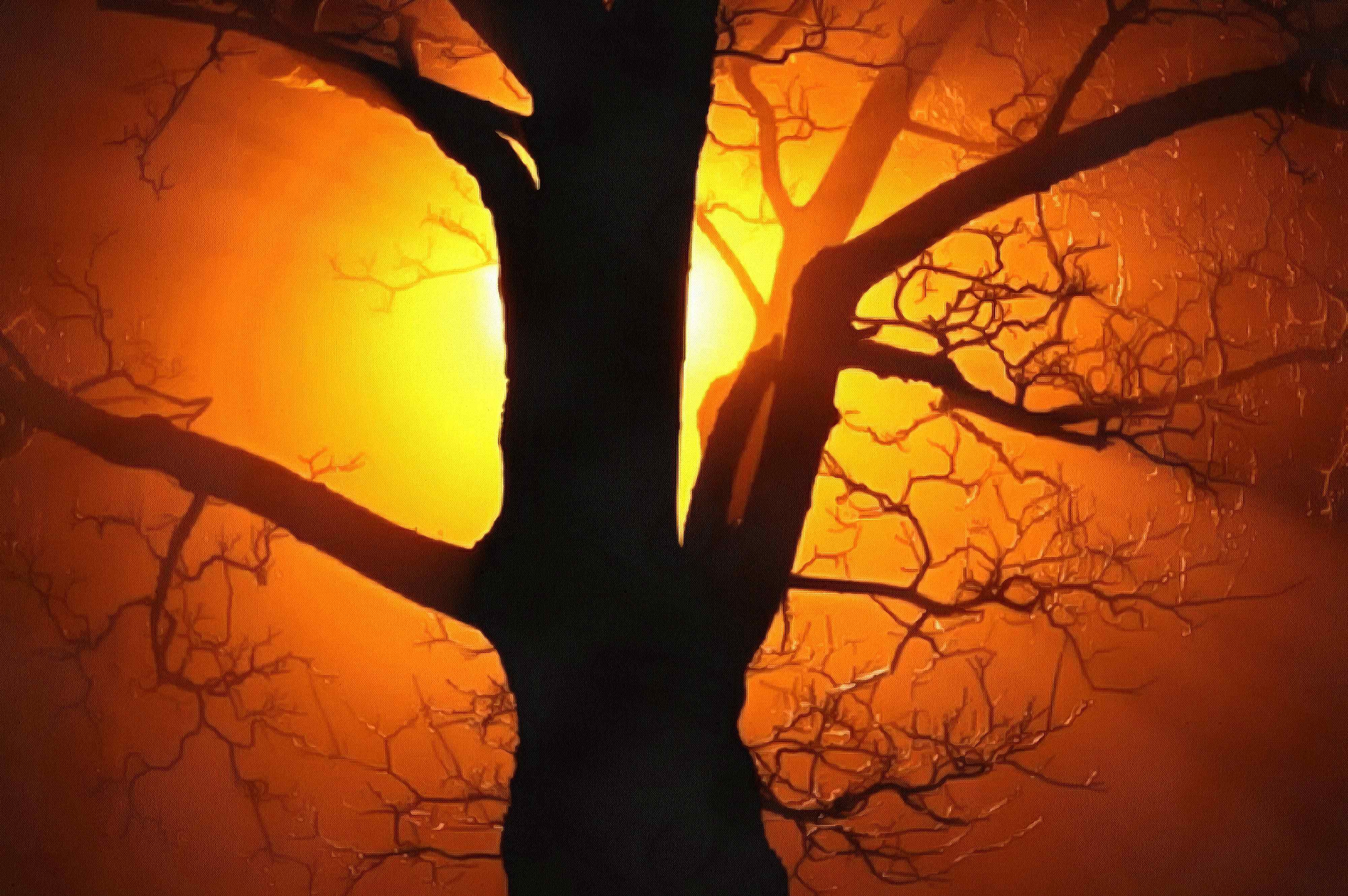 nature, beautiful, night, branch, light, dark, , silhouette, old, color, bright, golden, effect, tree, yellow orange, abstract, background, ray, fog, black, stock free images, free illustrtions