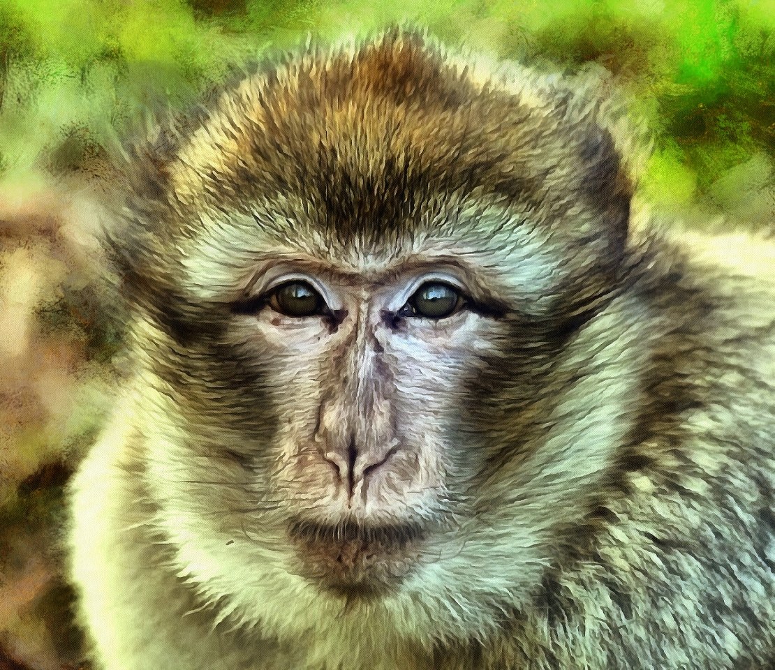 Cute Baby Animals Images Of Cute Baby Animals Public Domain Cute Baby Animals Images Of Cute Baby Animals Public Domain