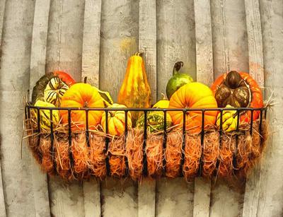 pumpkin, thanksgiving, vegetables, harvest, holiday, 