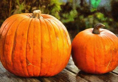 pumpkin, thanksgiving, vegetables, harvest, holiday, 