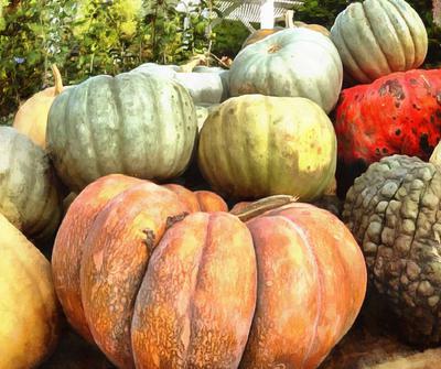 vegetables, harvest, pumpkin, thanksgiving, holiday, 