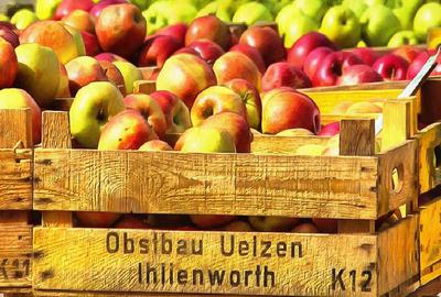 crop, apples, holiday, fruit, wealth, summer,