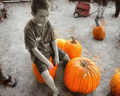 boy, kids, pumpkin, holiday, flame, candle, smile, candle, horror - halloween, holiday, free images, public domain images, free stock images, download images, free pictures