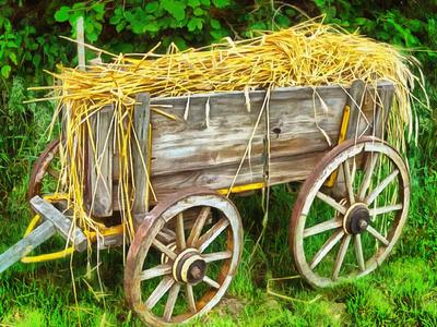 cart, straw, hay, wagon with straw,