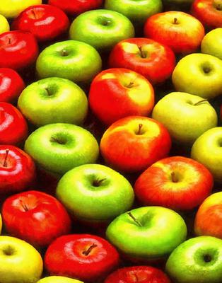 crop, apples, holiday, fruit, wealth, summer,