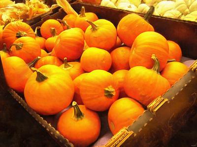 pumpkin, holiday, lots of pumpkins, garden, spooky, trick or treet, halloween -  stock free photos, public domain images, download free images, free stock images, public domain 