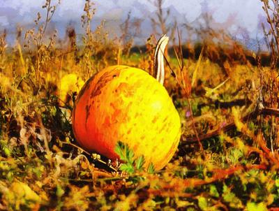 pumpkin, head, vegetable, flame, holiday, candle, celebration,  - halloween, free photos, freeimages, free stock images, public domain images, download free images, stock free images 