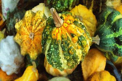 pumpkin, thanksgiving, vegetables, harvest, holiday, 