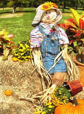 scarecrow, clown, scary clown, garden, toy, halloween - stock free images, public domain, free images, download images for free, public domain photos, free stock image