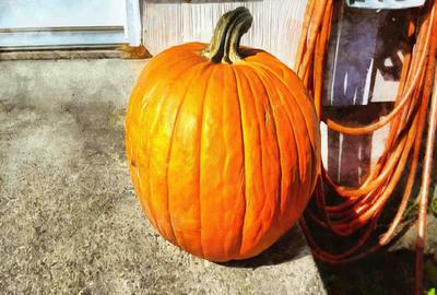 pumpkin, vegetable, celebration, Pumpkin  - halloween, free photos, free images, free stock photos, public domain images, stock free images, download free images  