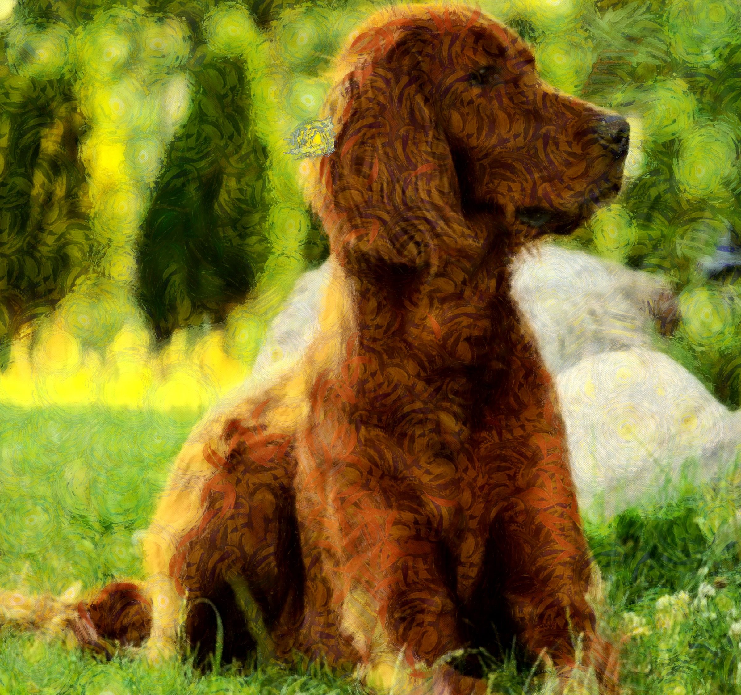 Sunflower Big Black Dog Public Domain Image