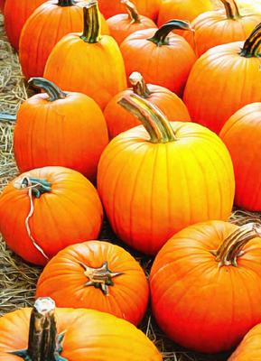  pumpkin, muzzle, carved, celebration, joy, carnival, smile, face, Halloween,  - halloween, free image, free picture, stock free images, public domain images, download free photos, free stock photos 