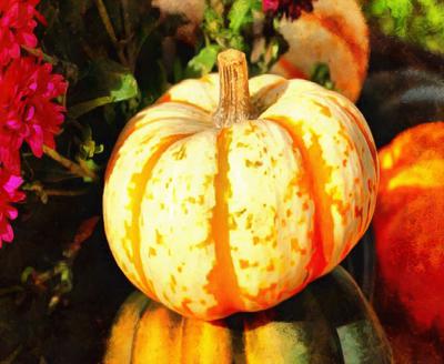 vegetables, harvest, pumpkin, thanksgiving, holiday, 