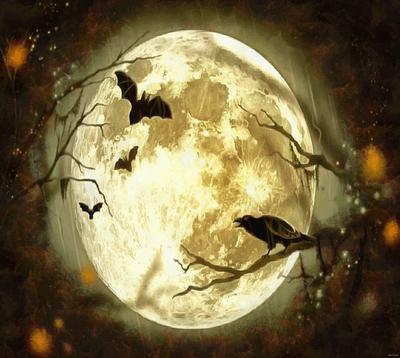 halloween, holiday, moon, happy halloveen, castle, spooky - halloween, free stock photos, public domain images, stock free images, download for free 