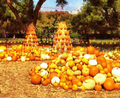 pumpkin, harvest, holiday, vegetable