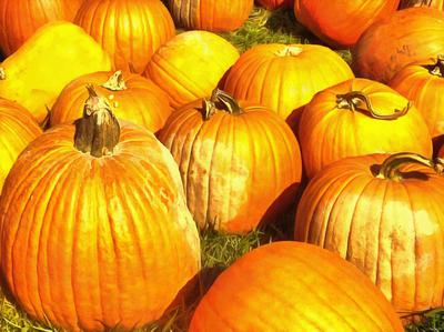 pumpkin, vegetable, celebration, Pumpkin  - halloween, free photos, free images, free stock photos, public domain images, stock free images, download free images  
