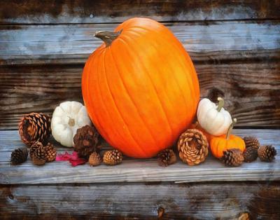 vegetables, harvest, pumpkin, thanksgiving, holiday, 