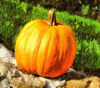 halloween, horror, skary, all Saints Day, celebration, Pumpkin  - halloween, free photos, free images, free stock photos, public domain images, stock free images, download free images  