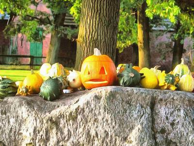 pumpkin, holiday, celebration, halloween, - halloween, free stock photos, public domain images, stock free images, download for free 