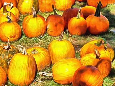 сelebration, pumpkin, holiday, lots of pumpkins, garden, spooky, halloween -  stock free photos, public domain images, download free images, free stock images, public domain 