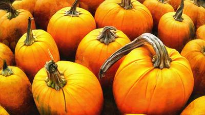 pumpkin, holiday, lots of pumpkins, garden, spooky, trick or treet, halloween -  stock free photos, public domain images, download free images, free stock images, public domain 