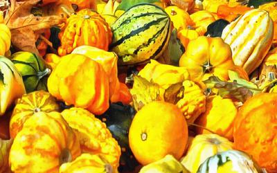 pumpkin, trade, tray, stall, holiday, lots of pumpkins, garden, spooky, halloween -  stock free photos, public domain images, download free images, free stock images, public domain