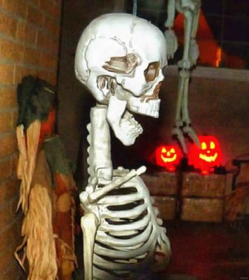  skull, head, bones, horror, skeleton, fear, smile, halloween - halloween free image, free images, public domain images, stock free images, download image for free, halloween stock free images!