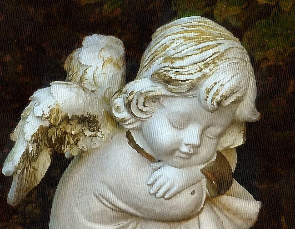 Angel, Angel images, Images of Angel, Angel photo, angel picture, stock free images of angels - Download angels public domain images, free angel images, download stock free images!