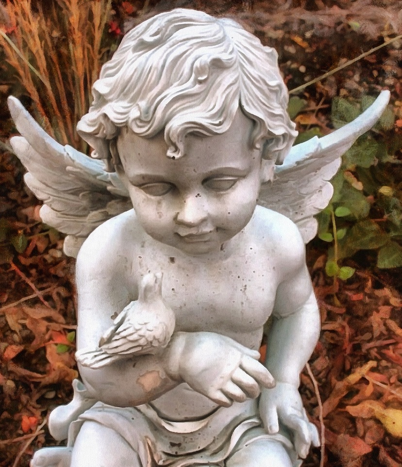 Angel, Free angel images, stock free images of angels, Images of Angel, Angel photo, angel picture, - Download angels public domain images, free angel images, download stock free images!