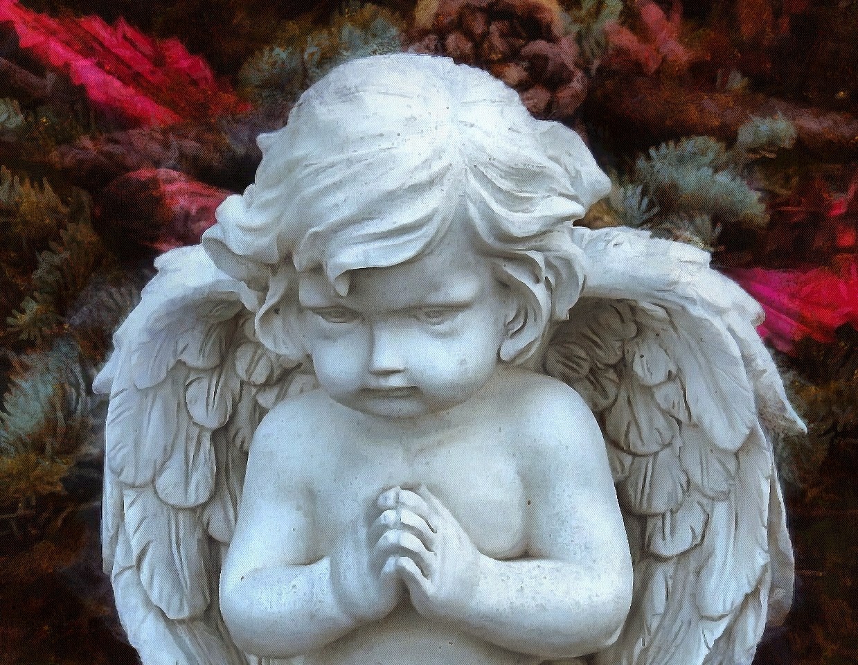 Angel, Free angel images, stock free images of angels, Images of Angel, Angel photo, angel picture, - Download angels public domain images, free angel images, download stock free images!