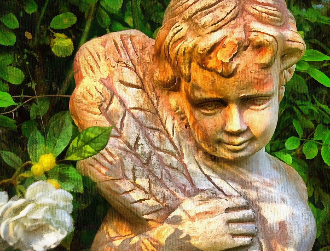 Angels, angel picture, stock free images of angels, Free angel images, Images of Angel, Angel photo,  - Download angels public domain images, free angel images, download stock free images!