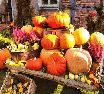 pumpkin, head, vegetable, flame, holiday, candle, celebration,  - halloween, free photos, freeimages, free stock images, public domain images, download free images, stock free images 