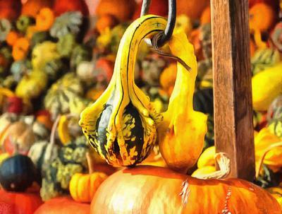 pumpkin, vegetable, celebration, Pumpkin  - halloween, free photos, free images, free stock photos, public domain images, stock free images, download free images  