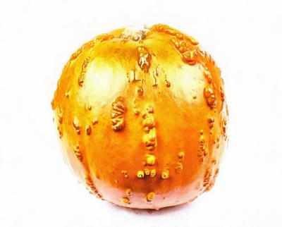 pumpkin, vegetable, celebration, Pumpkin  - halloween, free photos, free images, free stock photos, public domain images, stock free images, download free images  