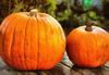 pumpkin, thanksgiving, vegetables, harvest, holiday, 