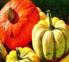 vegetables, harvest, pumpkin, thanksgiving, holiday, 