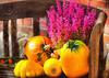 pumpkin, thanksgiving, vegetables, harvest, holiday, 