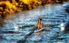 boat, kayaking, kayak, kayaking free image, stock free image, public domain image, royalty free image, free image!