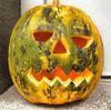  pumpkin, muzzle, carved, celebration, joy, carnival, smile, face, Halloween,  - halloween, free image, free picture, stock free images, public domain images, download free photos, free stock photos 