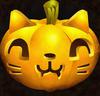 cat pumpkin, pumpkin picture, halloween, holiday,